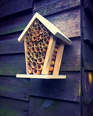 Bee Hotel