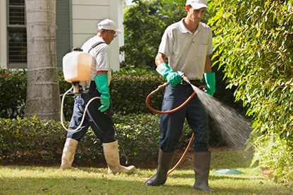 Men Spraying Pesticides