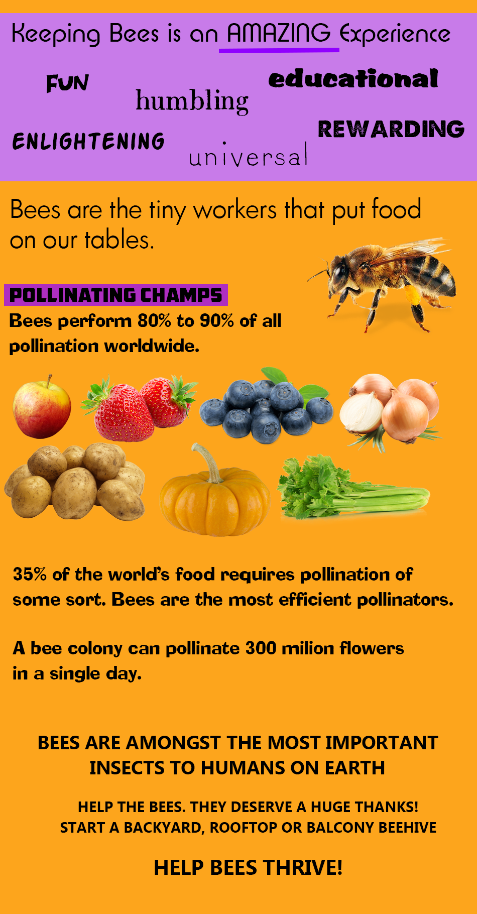 Why Keep Bees Graphic